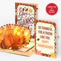 Give Thanks Turkey Music and Lights Pop-Up Card and Friend Like You Sentiment Set