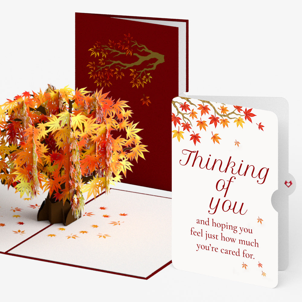 Sugar Maple Tree Thinking of You Pop-Up Card and You Are Cherished Sentiment Set
