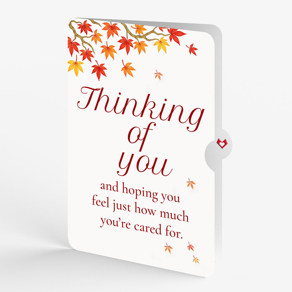 Sugar Maple Tree Thinking of You Pop-Up Card and You Are Cherished Sentiment Set