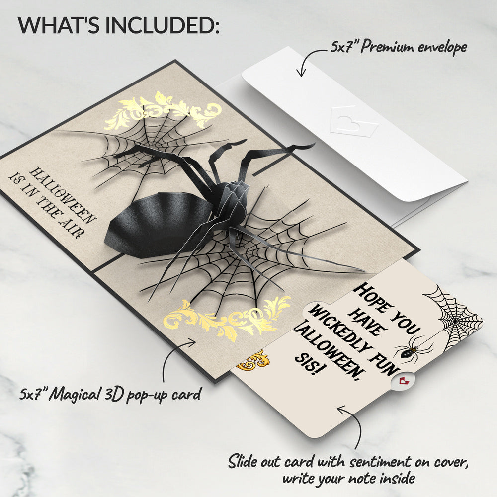 Beware Halloween Spider Pop-Up Card and Wickedly Fun Sentiment Set
