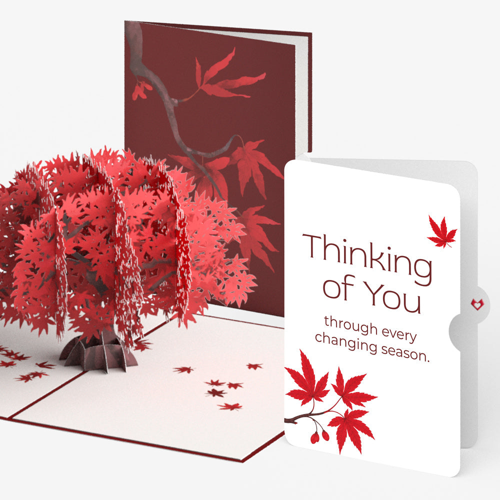Majestic Japanese Maple Thinking of You Pop-Up Card and Changing Seasons Sentiment Set