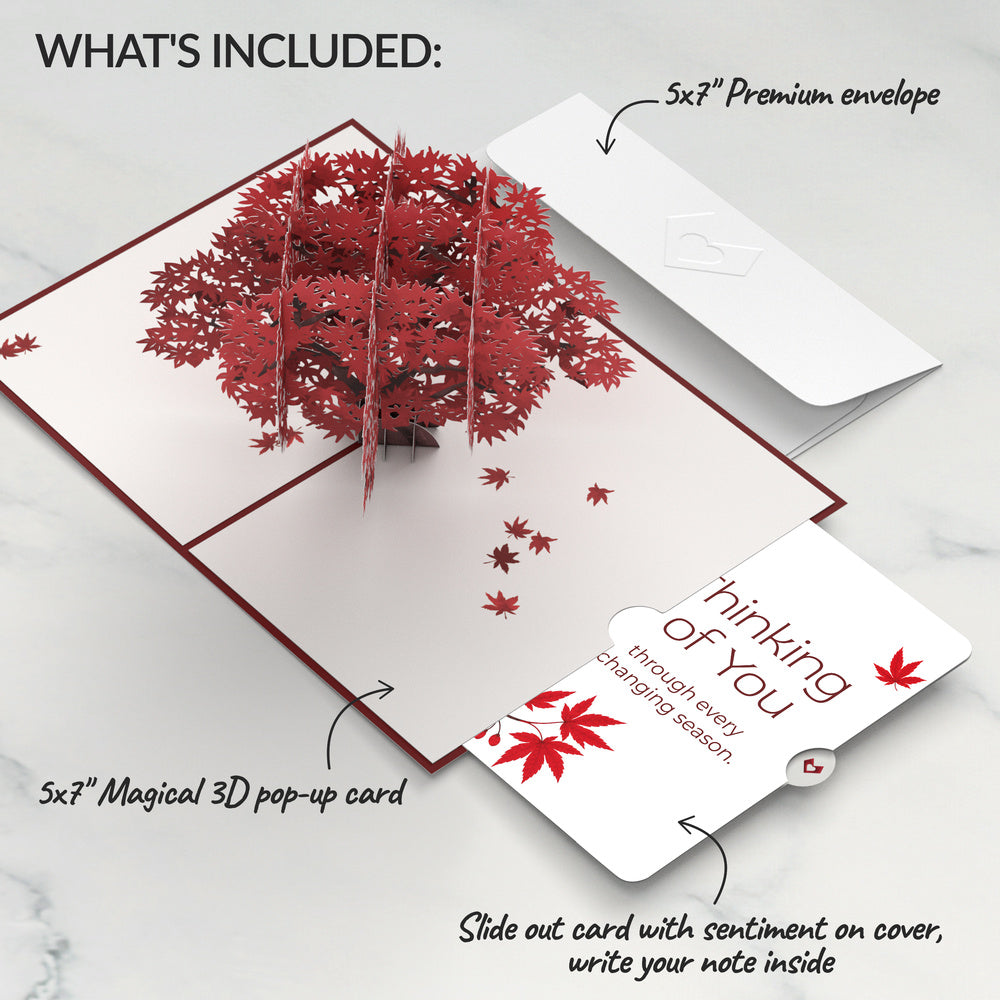 Majestic Japanese Maple Thinking of You Pop-Up Card and Changing Seasons Sentiment Set