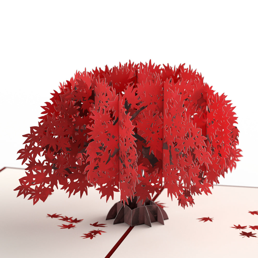 Majestic Japanese Maple Thinking of You Pop-Up Card and Changing Seasons Sentiment Set