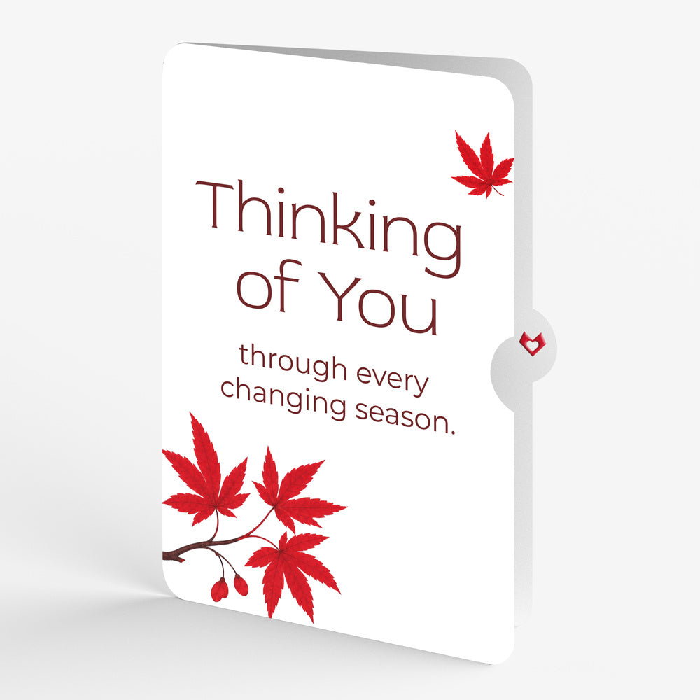 Majestic Japanese Maple Thinking of You Pop-Up Card and Changing Seasons Sentiment Set