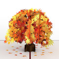Sugar Maple Tree Birthday Pop-Up Card and Wonderful New Season Sentiment Set