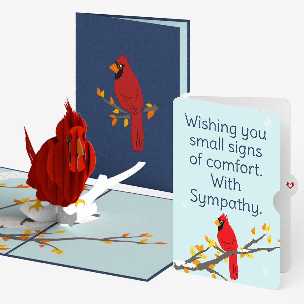Cardinal Sympathy Pop-Up Card and Small Signs Of Comfort Sentiment Set