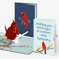 Cardinal Sympathy Pop-Up Card and Small Signs Of Comfort Sentiment Set