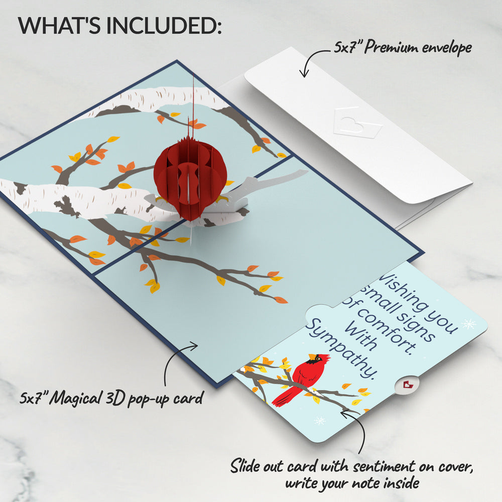Cardinal Sympathy Pop-Up Card and Small Signs Of Comfort Sentiment Set