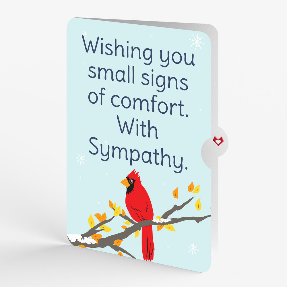 Cardinal Sympathy Pop-Up Card and Small Signs Of Comfort Sentiment Set