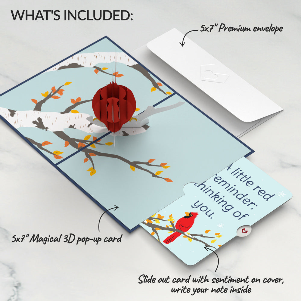 Cardinal Thinking of You Pop-Up Card and Little Red Reminder Sentiment Set