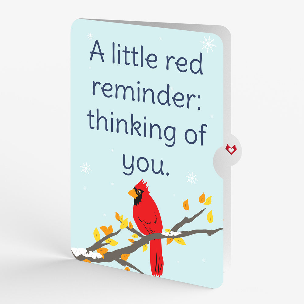 Cardinal Thinking of You Pop-Up Card and Little Red Reminder Sentiment Set