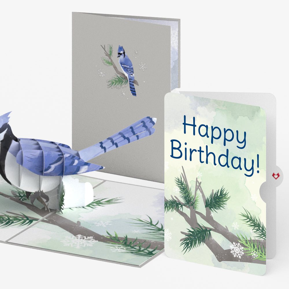Winter Blue Jay Birthday Pop-Up Card and Sentiment Set
