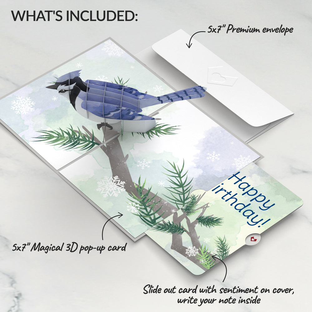 Winter Blue Jay Birthday Pop-Up Card and Sentiment Set