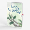 Winter Blue Jay Birthday Pop-Up Card and Sentiment Set