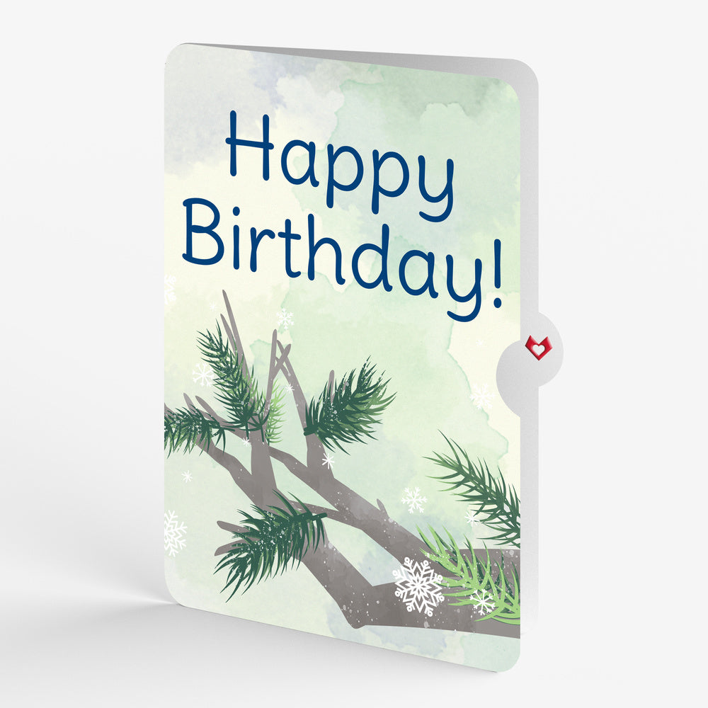 Winter Blue Jay Birthday Pop-Up Card and Sentiment Set