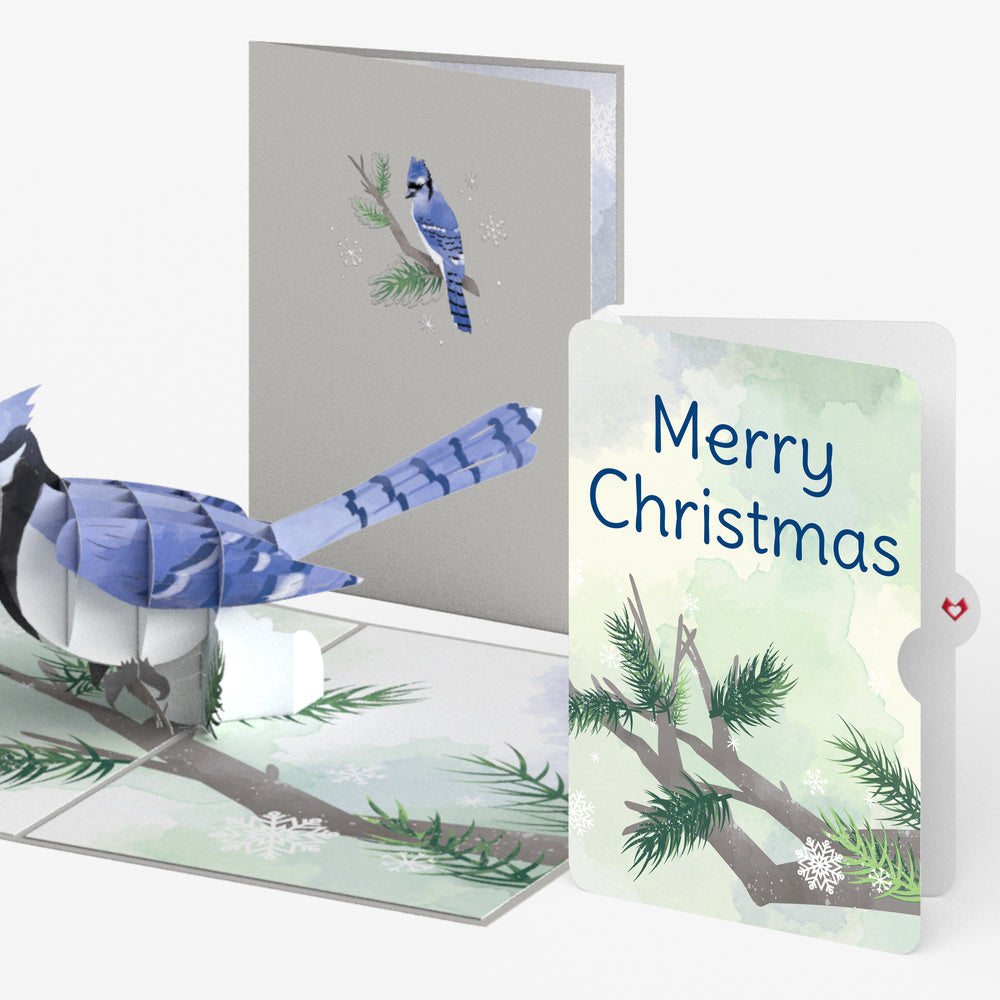Winter Blue Jay Christmas Pop-Up Card and Sentiment Set
