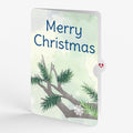 Winter Blue Jay Christmas Pop-Up Card and Sentiment Set