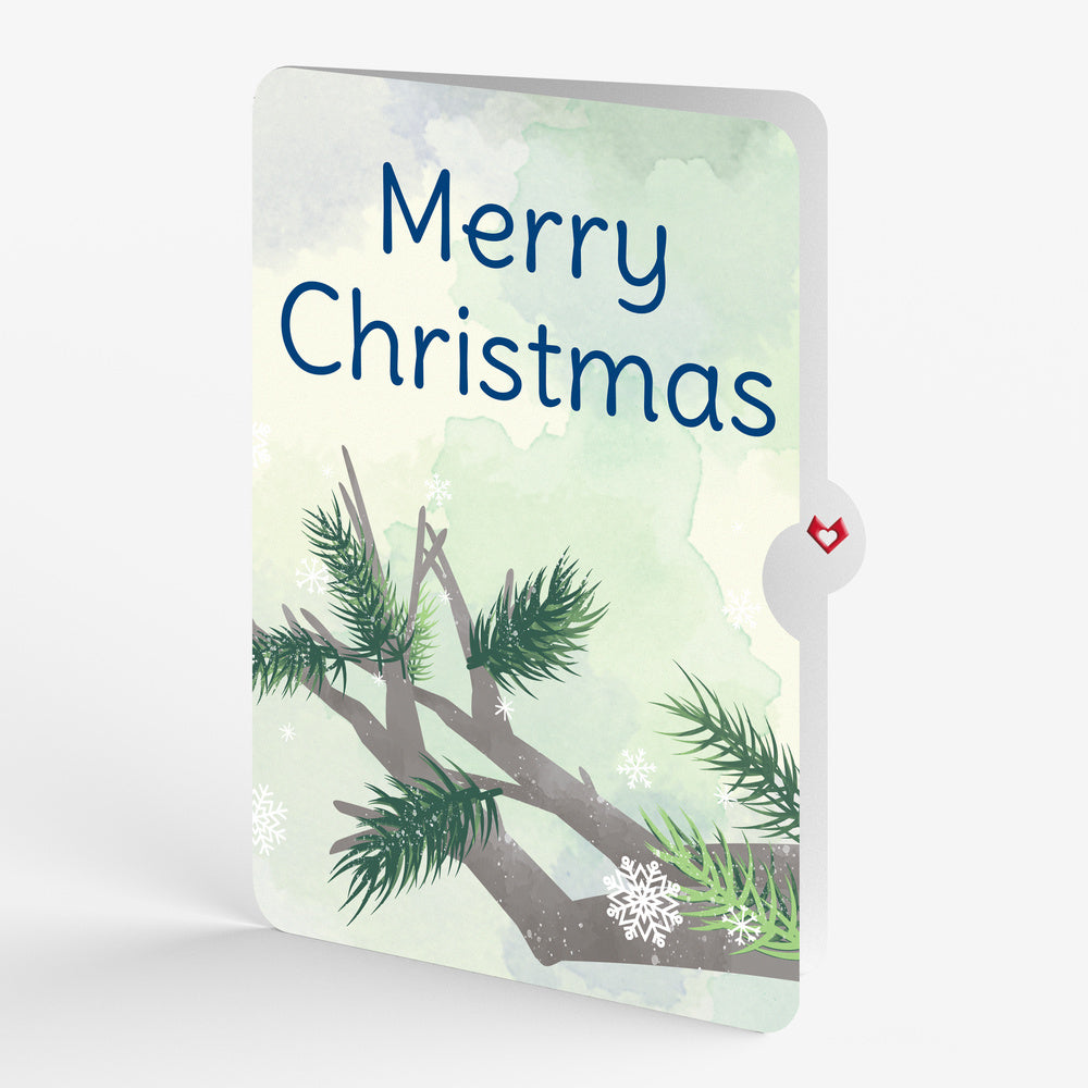 Winter Blue Jay Christmas Pop-Up Card and Sentiment Set
