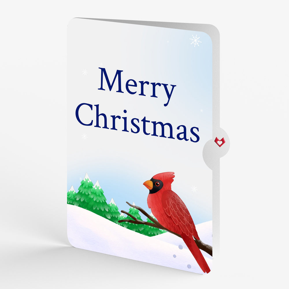 Winter Willow Tree Birds Christmas Pop-Up Card and Sentiment Set