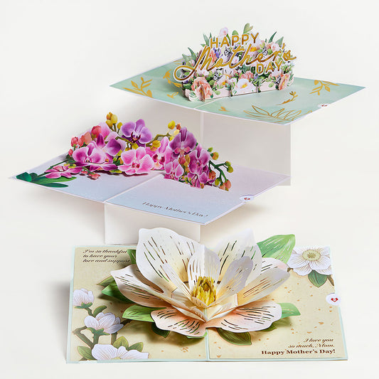 Mother’s Day Elegant Florals 3-Pack