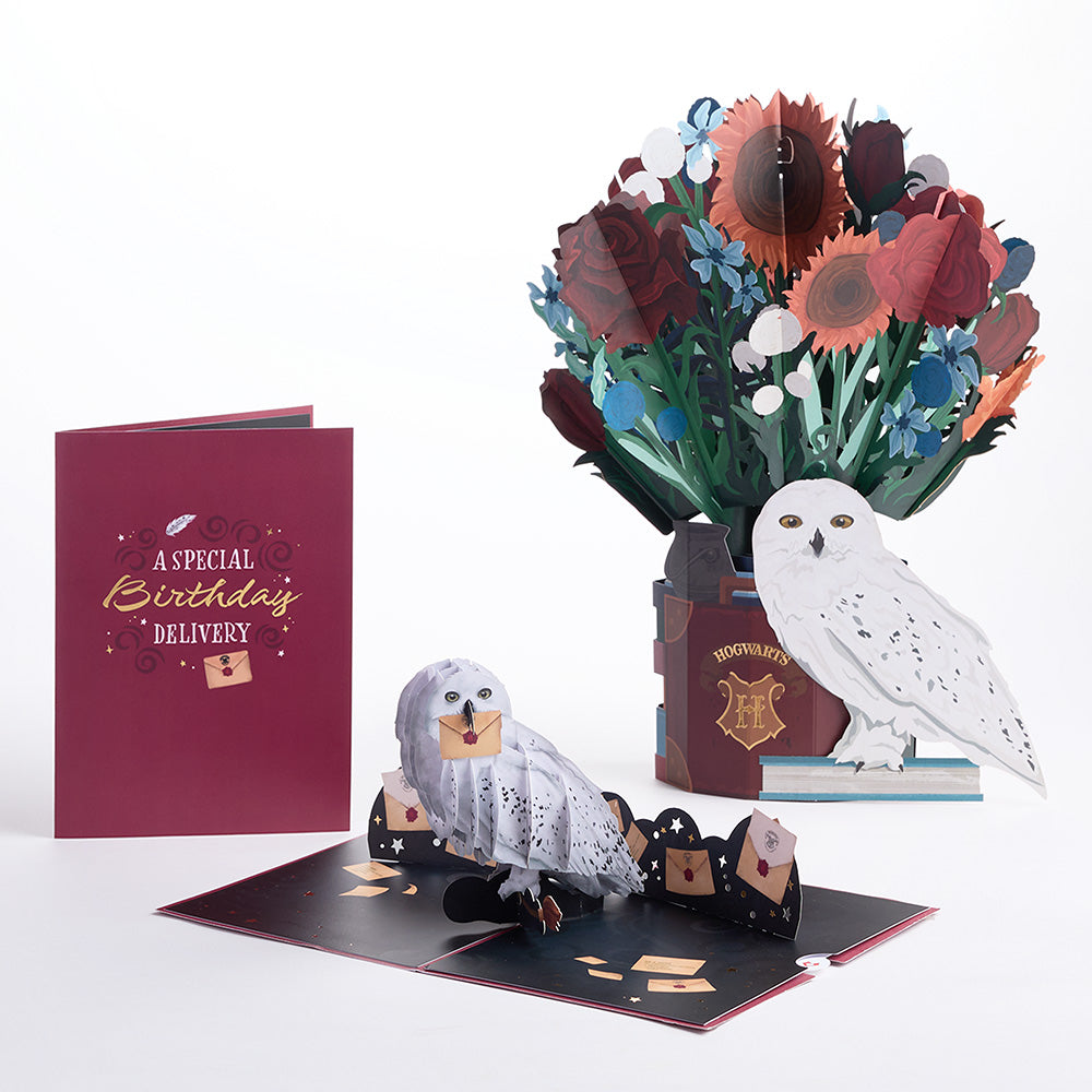Harry Potter™ Hedwig™ Birthday Pop-Up Card & Flower Buds Bouquet Bundle