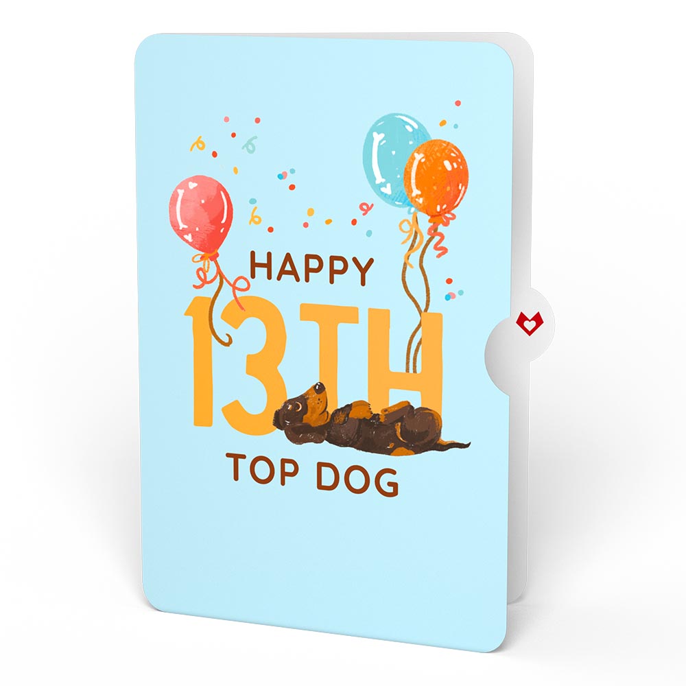 Happy 13th Birthday Dogs Pop-Up Card and Sentiment Set