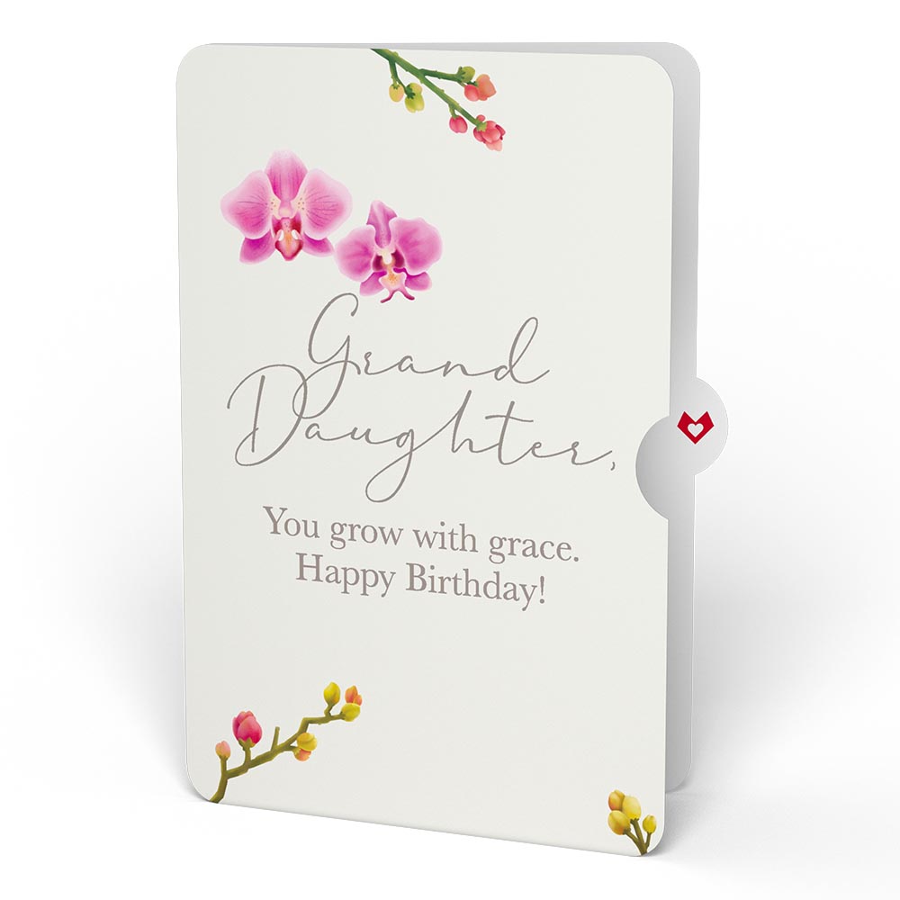 Watercolor Orchid Birthday Pop-Up Card and Sentiment Set for Granddaughter