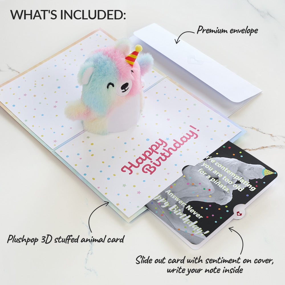 Rainbow Bear with The Thinker Birthday Plushpop Card and Sentiment Set