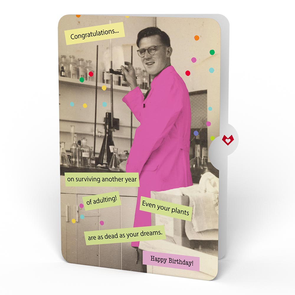 Confetti Cake Birthday Pop-Up Card and Survive Another Year of Adulting Sentiment Set