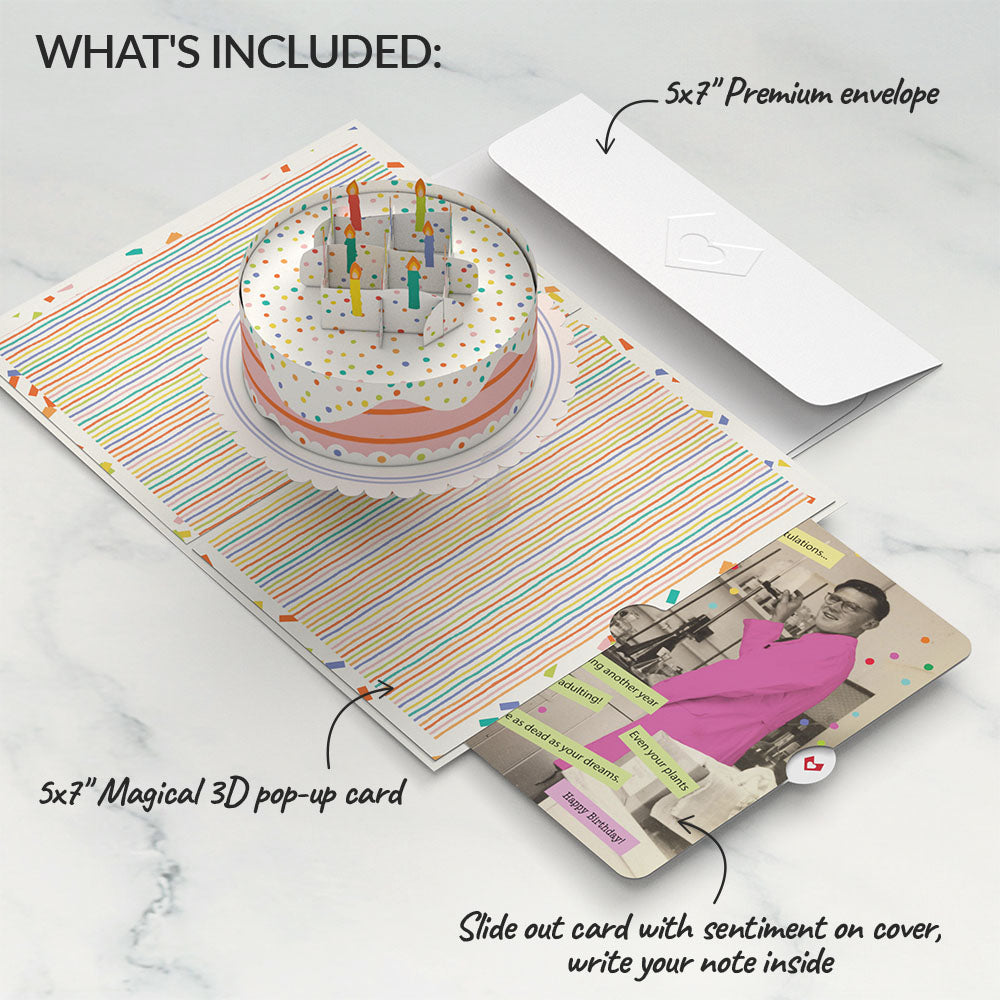Confetti Cake Birthday Pop-Up Card and Survive Another Year of Adulting Sentiment Set