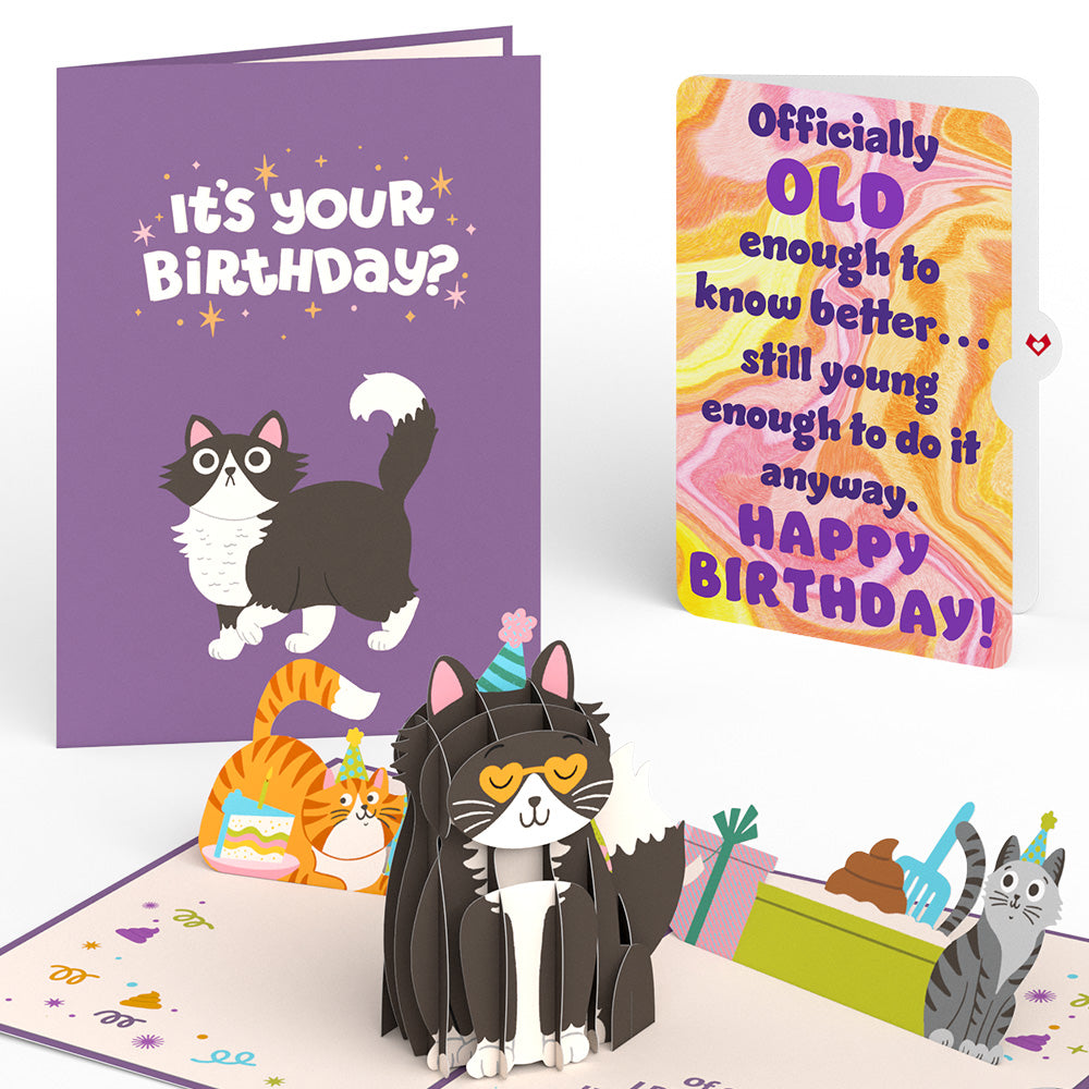 Your Gift Is in the Litterbox Birthday Cat Pop-Up Card and Sentiment Set