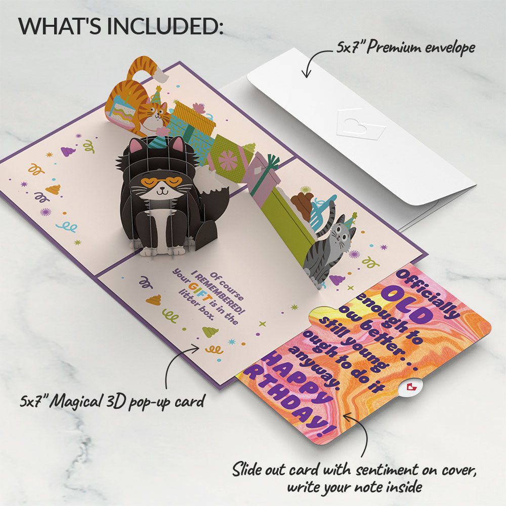 Your Gift Is in the Litterbox Birthday Cat Pop-Up Card and Sentiment Set