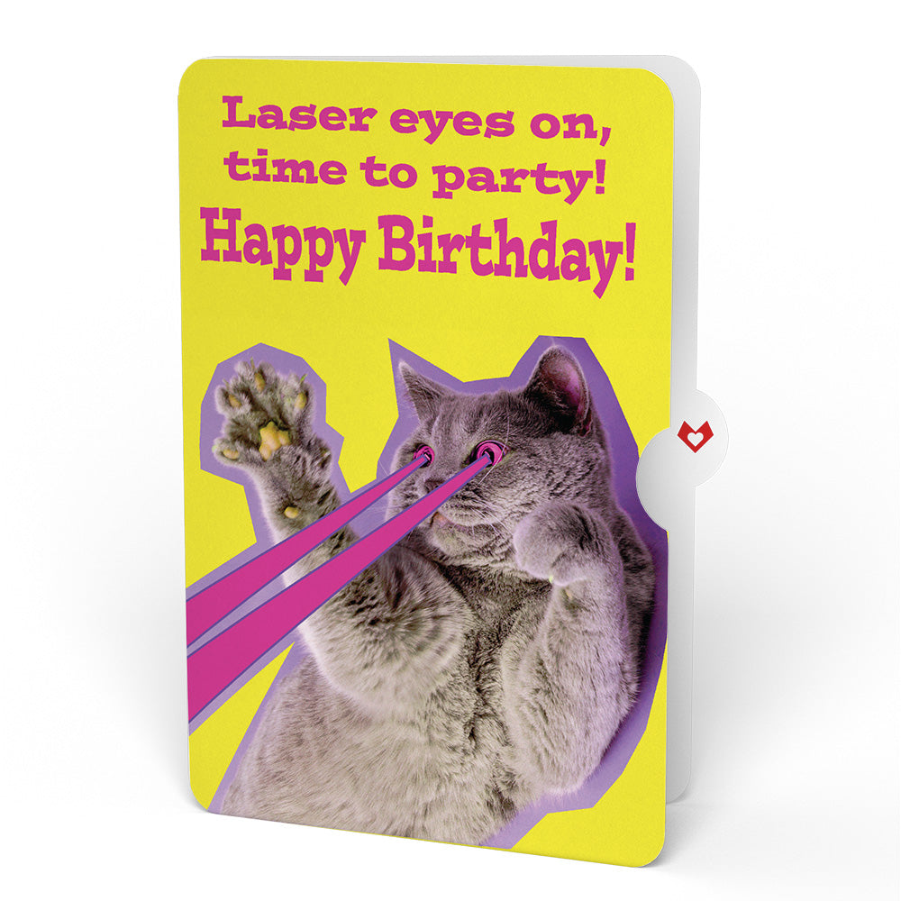 Sweet Birthday Wishes Bouquet and Cat Laser Eyes Sentiment Set
