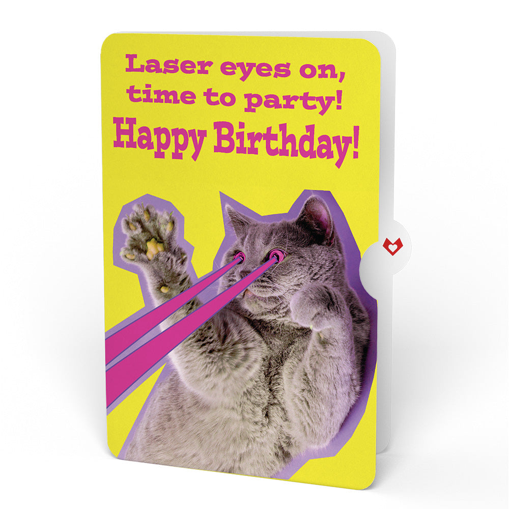 Purr-fect Cat Birthday Bouquet and Cat Laser Eyes Sentiment Set