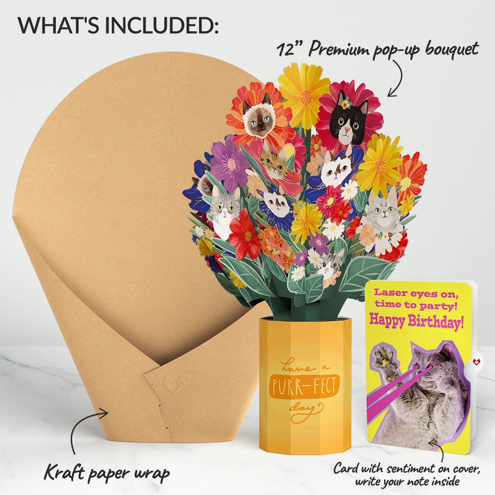 Purr-fect Cat Birthday Bouquet and Cat Laser Eyes Sentiment Set