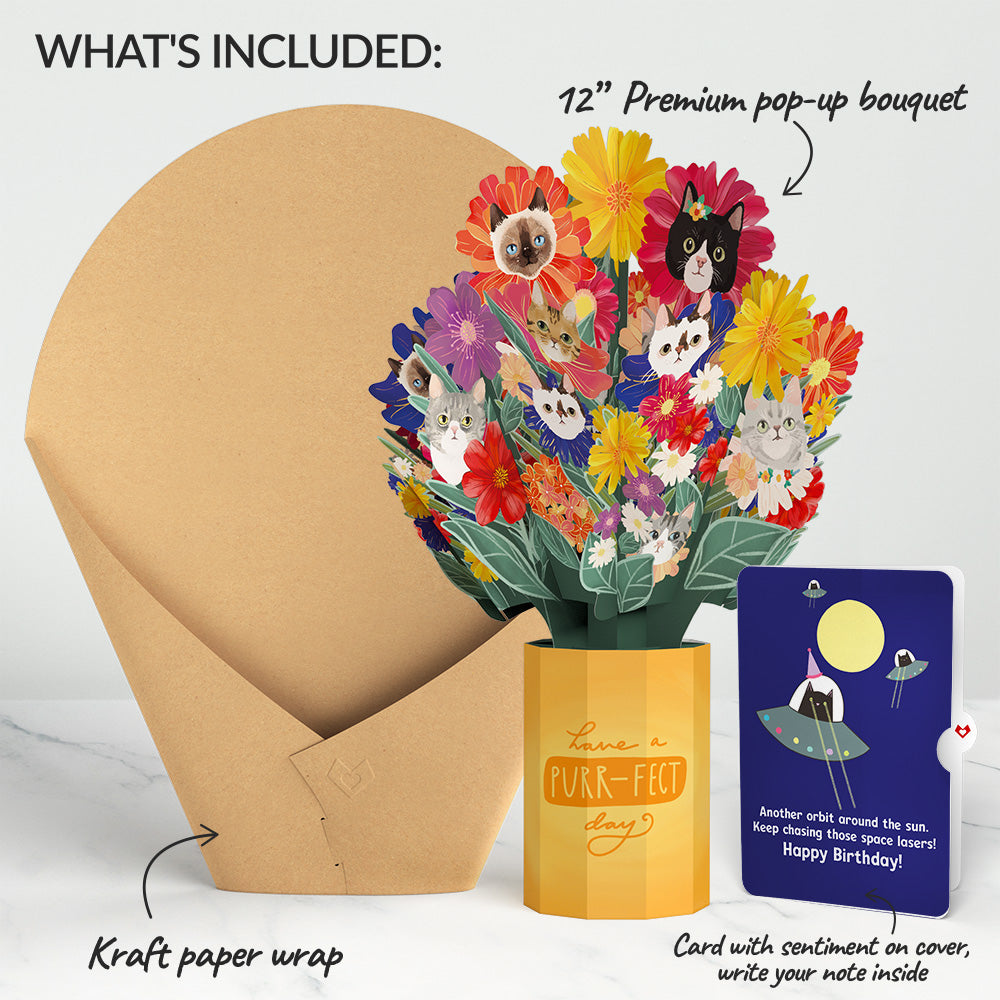 Purr-fect Cat Birthday Bouquet and Space Laser Cats Sentiment Set
