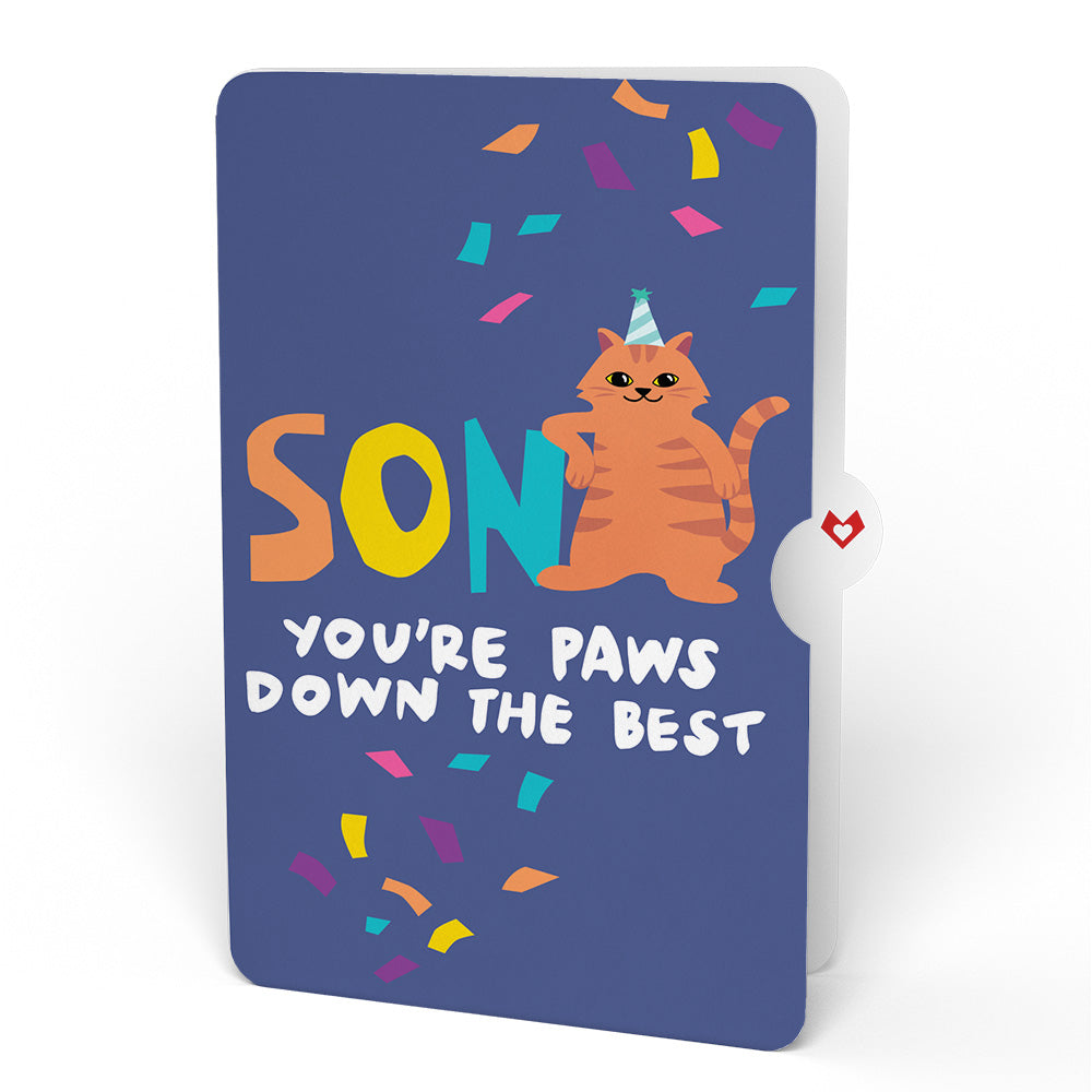 Purr-fect Cat Birthday Bouquet and Sentiment Set for Son