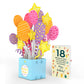 18th Birthday Balloons Giant Pop-Up Gift and Sentiment Set