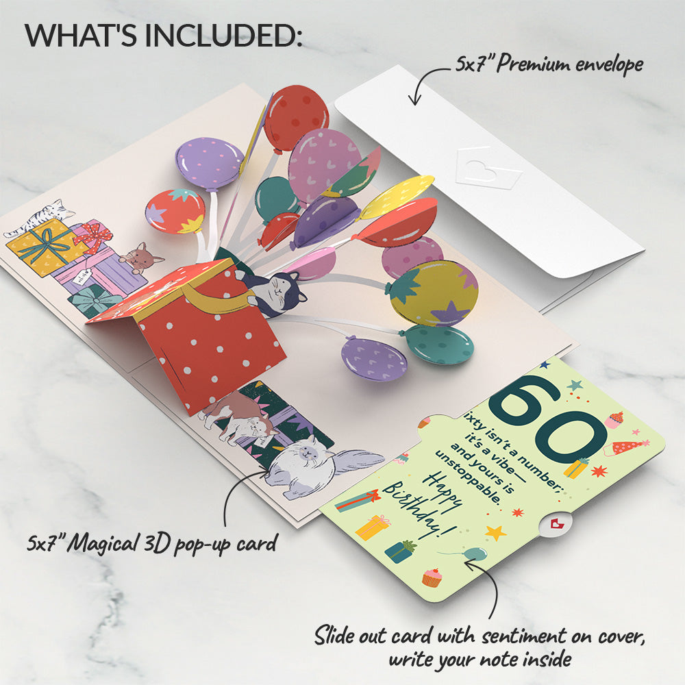 Curious Cats 60th Birthday Pop-Up Card and Sentiment Set