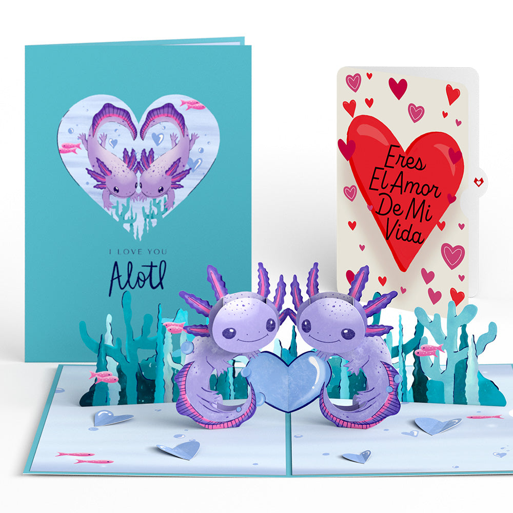 Love You A-Lotl Eres El Amor De Mi Vida Valentine Pop-Up Card and Sentiment Set