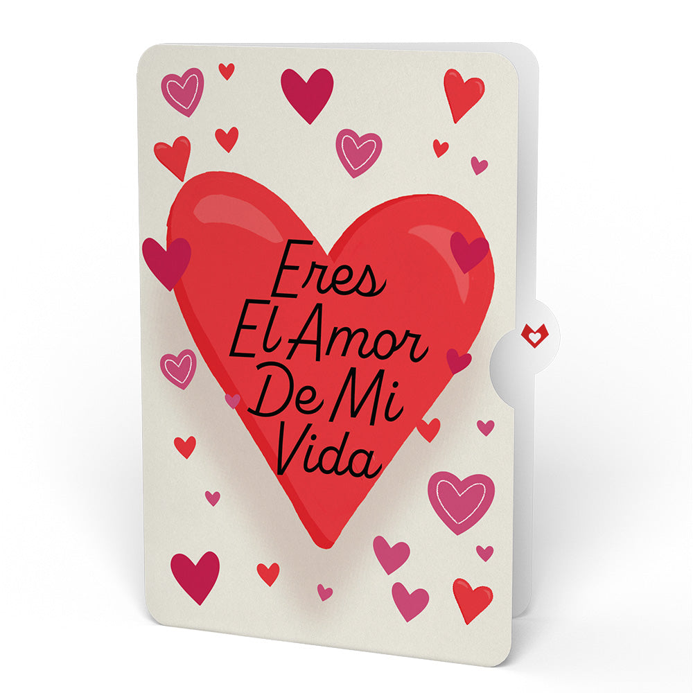 Love You A-Lotl Eres El Amor De Mi Vida Valentine Pop-Up Card and Sentiment Set