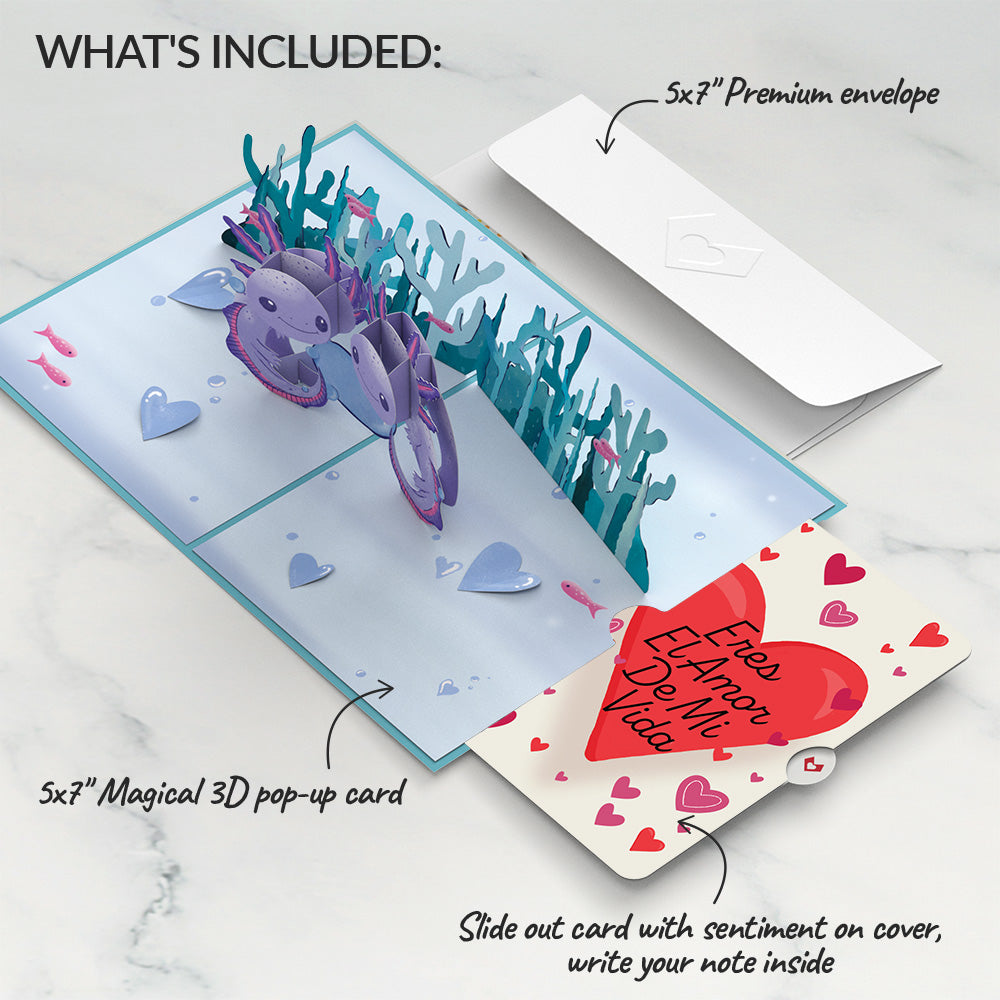 Love You A-Lotl Eres El Amor De Mi Vida Valentine Pop-Up Card and Sentiment Set
