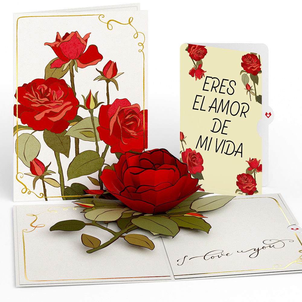 I Love You Roses Eres El Amor De Mi Vida Valentine Pop-Up Card and Sentiment Set