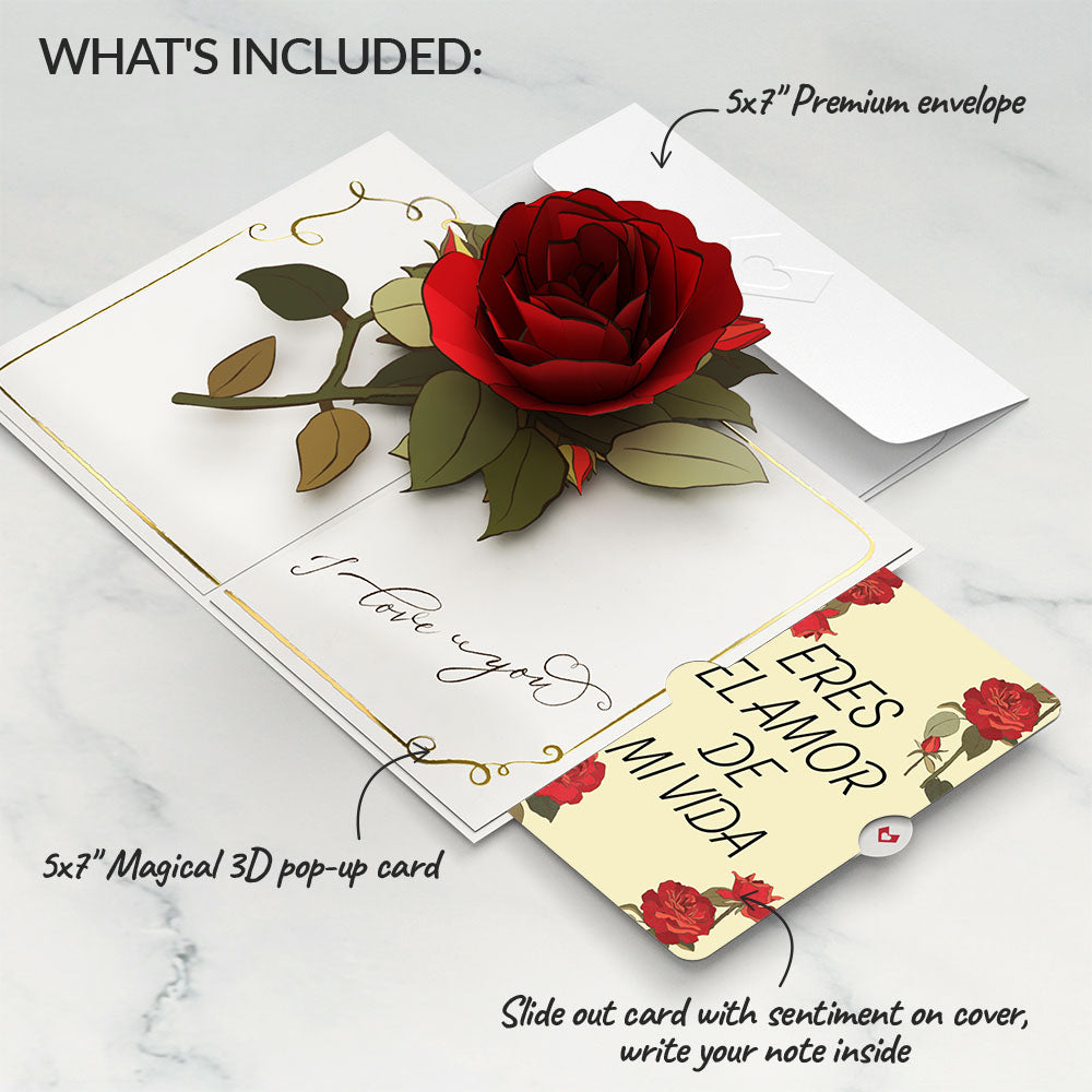 I Love You Roses Eres El Amor De Mi Vida Valentine Pop-Up Card and Sentiment Set