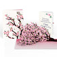 Cherry Blossom Branches in Bloom Mother's Day Pop-Up Card and Loved Me Like A Mom Sentiment Set