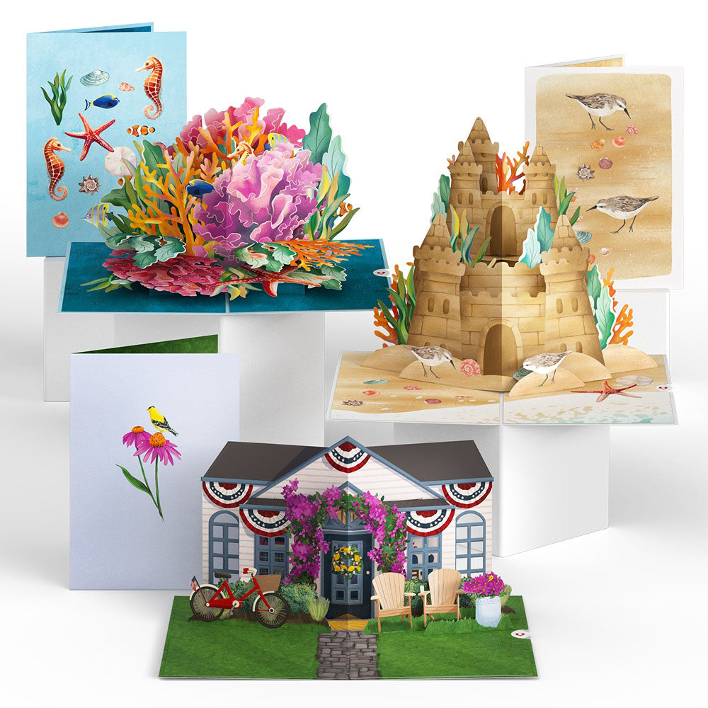 Sunny Summer 3-Pack