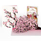 Cherry Blossom Branches in Bloom Birthday Pop-Up Card and Time to Party Sentiment Set
