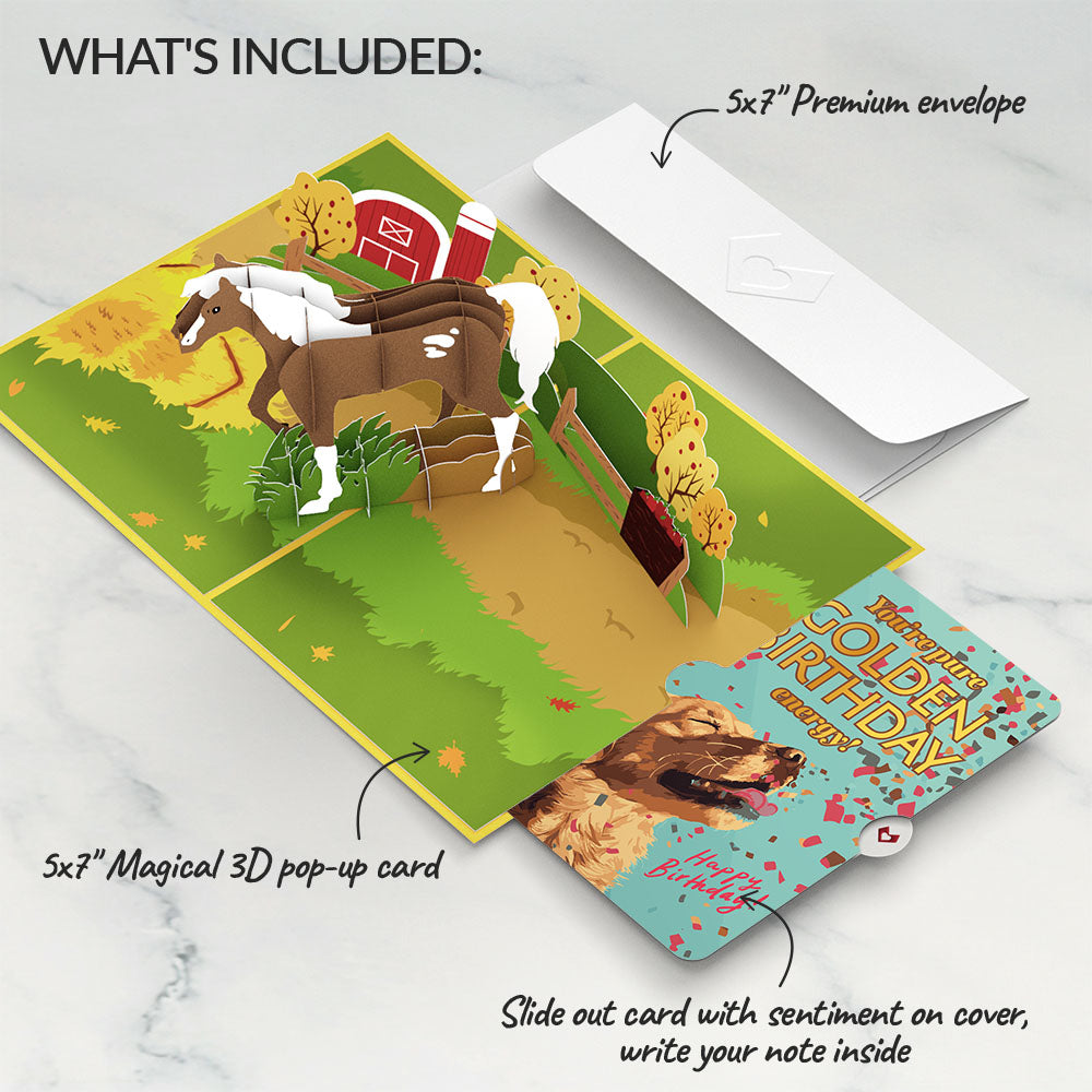 Horse Birthday Pop-Up Card and Golden Energy Sentiment Set