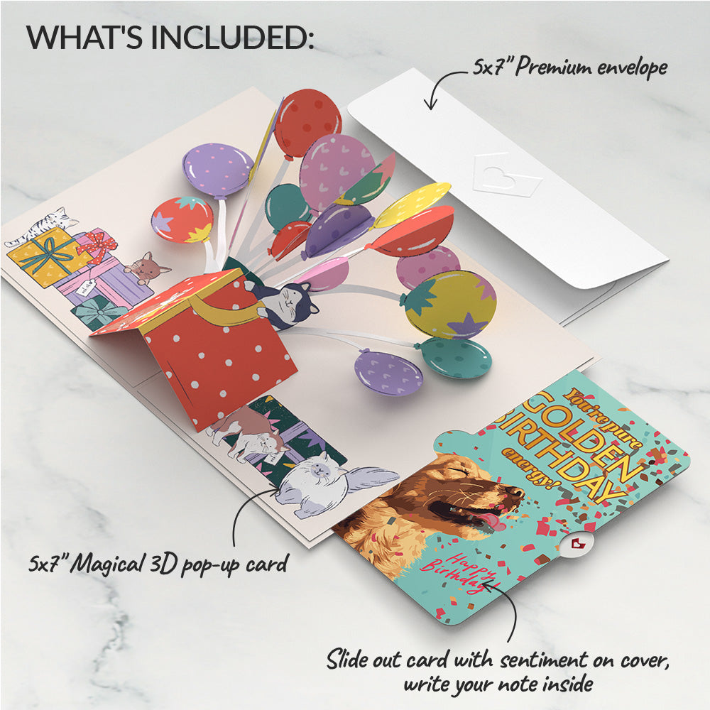 Curious Cats Birthday Pop-Up Card and Golden Energy Sentiment Set