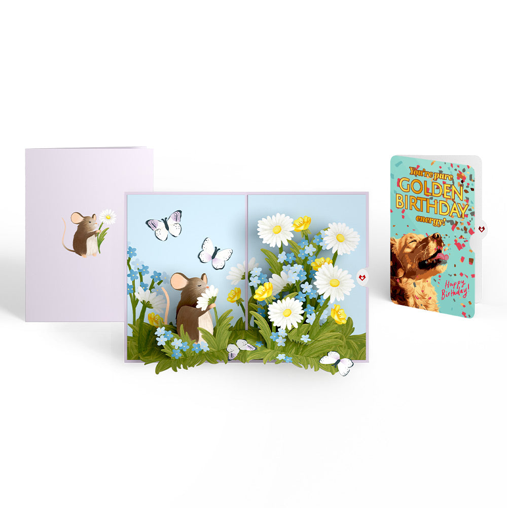 Field Mouse in the Flowers Birthday Pop-Up Card and Golden Energy Sentiment Set